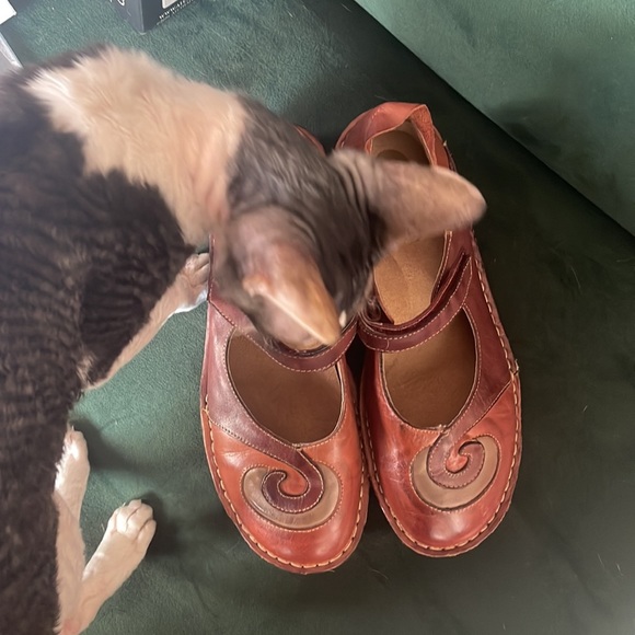 Brown Bernie Mev Mary Janes - Picture 9 of 10